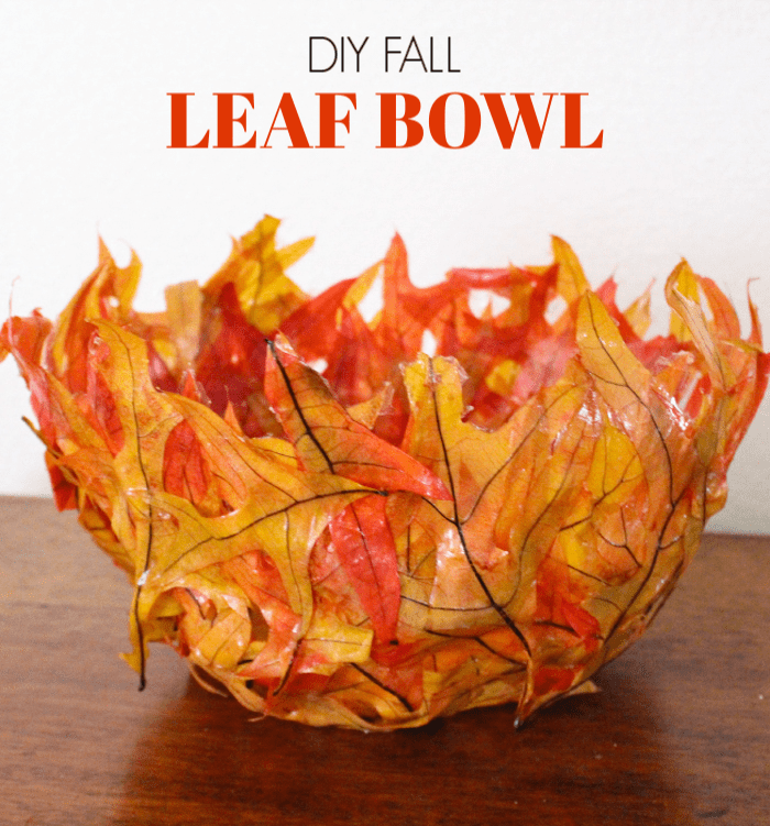 picture of bowl made out of orange and red colorful leaves