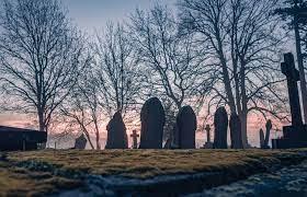 generic graveyard photo with some headstones, bare trees outlined against a sunset