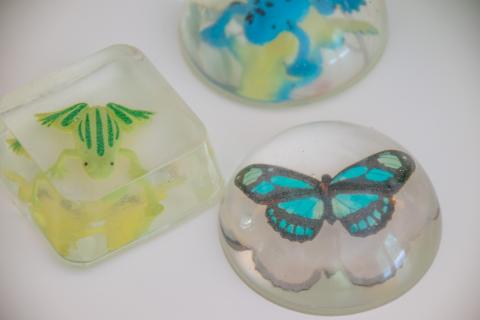 a fake butterfly, a fake frog, and a fake insect in clear resin molds, paperweight shapes