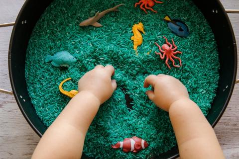 baby hands in colorful rice with toys