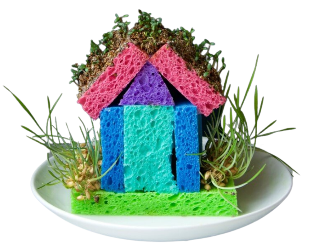 House made of sponges and covered with chia and other seeds.