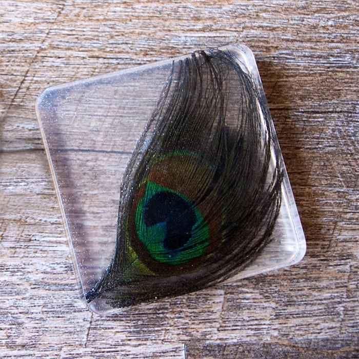 peacock feather in clear resin square