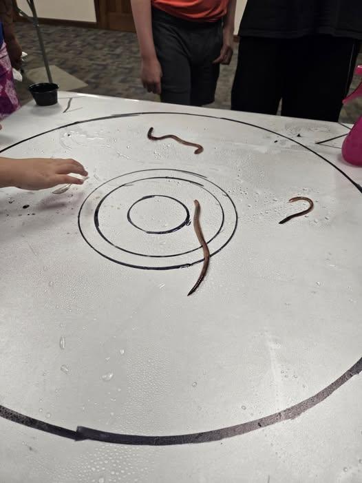 Racing worms on a bullseye 